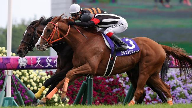 Curren Mirotic was just beaten in this year’s Tenno Sho. Picture: Japan Racing Association