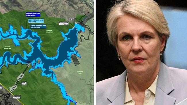 Driving plans to build a controversial $14 billion renewable energy plant at Borumba Dam says the project is still on track, despite key environmental reports still not yet submitted to the federal Minister Tanya Plibersek’s department.