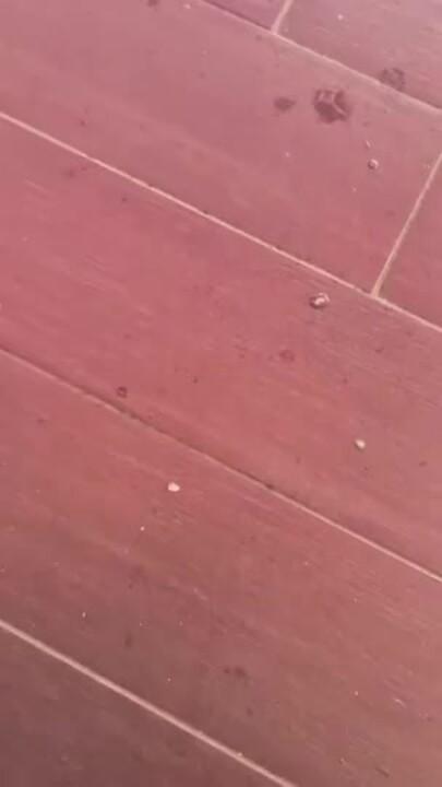 'Not on My Bingo Card': Hail Hits Fremont Street in Las Vegas