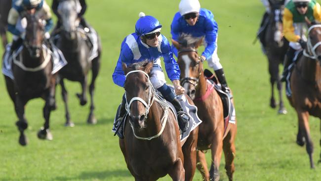 Winx finished her career a memorable victory, her 33rd in succession, in the 2019 Queen Elizabeth Stakes. Picture: AAP