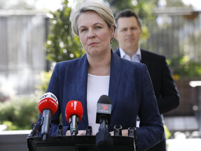 Labor’s education and training spokeswoman, Tanya Plibersek. Picture: Damian Shaw