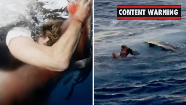 Jackass member bitten by shark