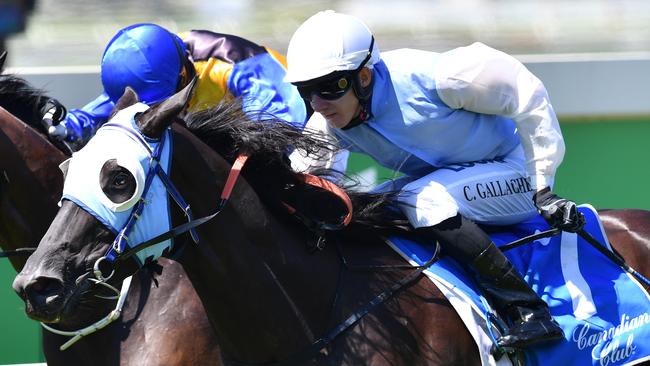 Jockey Clayton Gallagher rides Jackyy Dee for trainer Damien Lane in the Weelington Boot. Picture: AAP Image