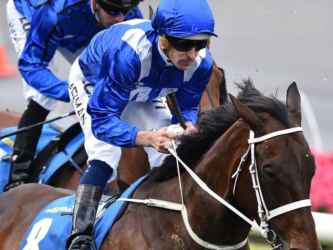 CHAMPION: Hugh Bowman rides Winx during the Cox Plate.