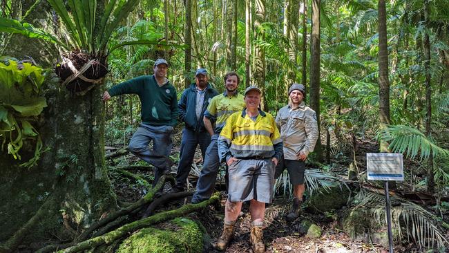 Repair works completed at Westray's Grave site, Lamington National Park.