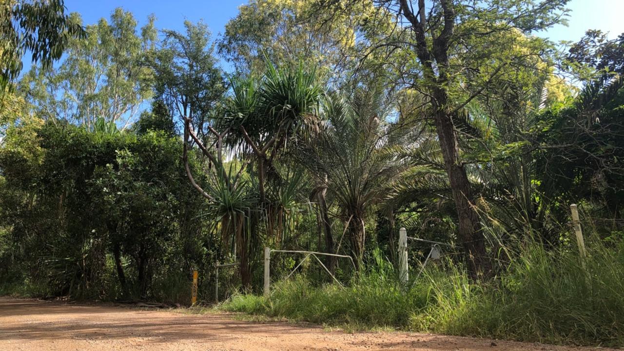 The lowland of western Magnetic Island near Claude's Block has the highest koala density. Picture: Supplied.