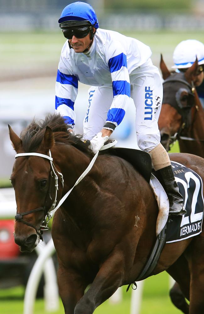 Doncaster Mile winner Kermadec is favourite for the Epsom. Picture: Mark Evans
