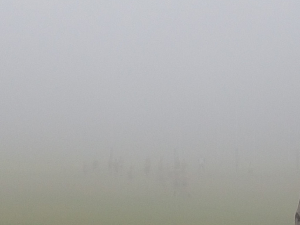 The players are barely visible at a game played 'in the hills' on Saturday. Picture: Twitter/Anthony Cat.