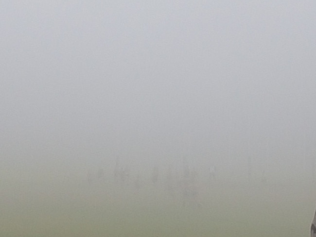 The players are barely visible at a game played 'in the hills' on Saturday. Picture: Twitter/Anthony Cat.