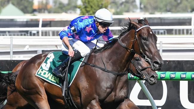 Feroce takes out the Australian Guineas Picture: Brett Holburt/Racing Photos via Getty Images