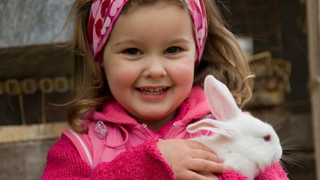 Pros and cons of getting a rabbit for the kids