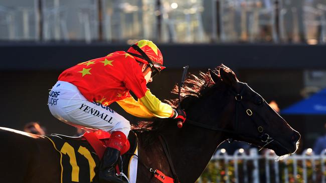 Calanda wins at Rosehill in July. Photo: Simon Bullard