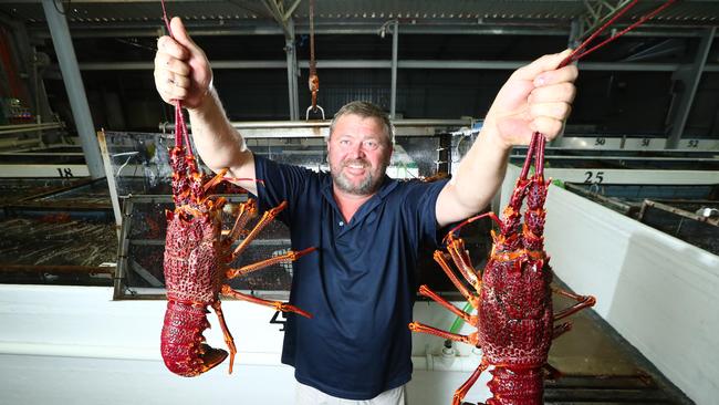 Cawthorne Fisheries owner Nicky Cawthorne, pictured at Port MacDonnell, says things are looking up for rock lobster fishers this season. Picture: Tait Schmaal