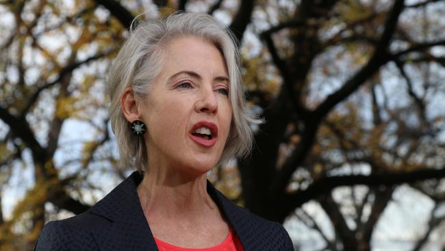 Greens MP Rosalie Woodruff speaks to the media on Parliament Lawns in Hobart in May 24.