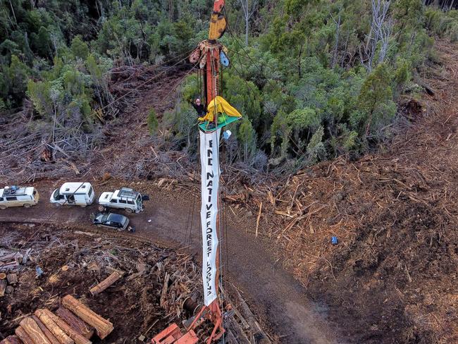 The aluminium platform was suspended from the cable logger 20m above the ground at the Dover logging coupe in May last year. Picture: BBF.