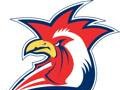 ROOSTERS LOGO FOR BACK PAGE