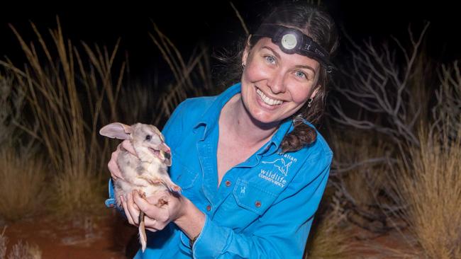 Aleisha Dodson, Australian Wildlife Conservancy field ecologist, with a bilby being released into Newhaven, west of Alice Springs. Picture: Brad Leue