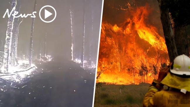 NSW and QLD bushfires: Catastrophic conditions forecast