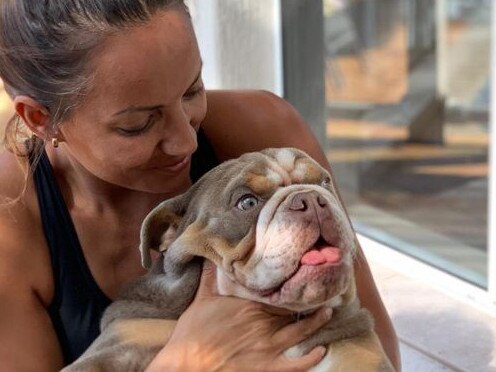Distraught owner Nadine Steadman is pleading for Biggie’s safe return after he was allegedly taken from his home at Gaven last month. Pic: Bring Biggie Home