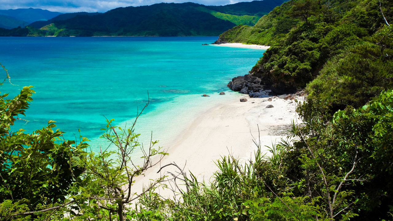 8 things to know about Amami Oshima Japan's secret island paradise ...