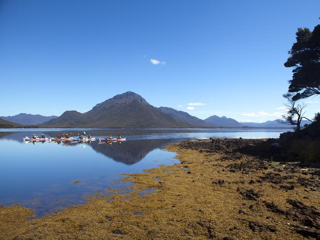 Roaring 40's Kayaking: Kayaking into shore on the Celery Top Islands, with Mt Rugby behind.