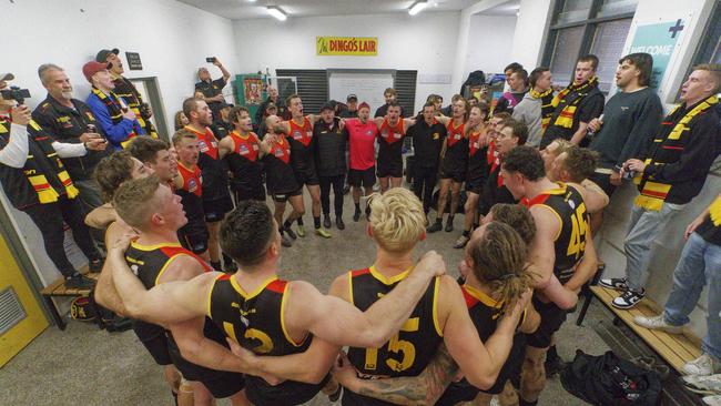 Dingley players celebrate their victory. Picture: Valeriu Campan