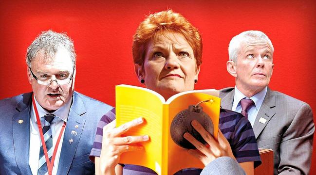 One Nation is taking a leaf out of the Clive Palmer playbook, with the odds of a PUP-style implosion looking increasingly likely. Picture: Digitally altered / Thinkstock /