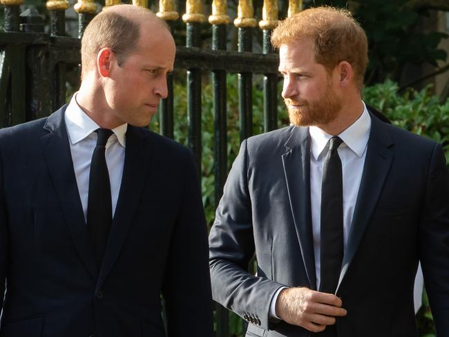 Prince William and Prince Harry are about as popular as each other in the US. Picture: Mark Kerrison/In Pictures via Getty Images