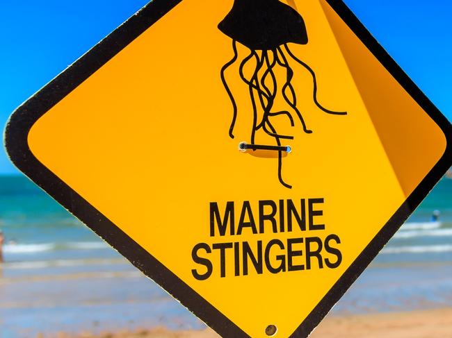 A sign on the beach to warn swimers in Queensland Australia of marine stingers in the water