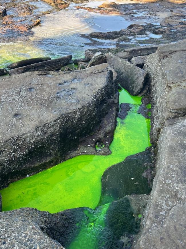 Mr Polhill said signage should have assured the public the liquid was non-toxic. Picture: Elizabeth Pike