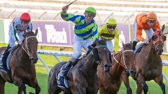 Bustler is going for back-to-back Group 1 Railway Stakes victories. Picture: Western Racepix