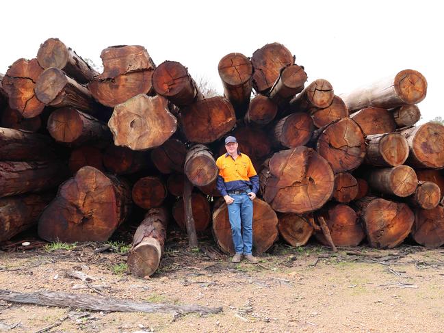 Dwellingup Sawmill owner Jay Branson has had to come up with new ways of sourcing timber after the state government banned native forest logging. Photo: Charlie Peel