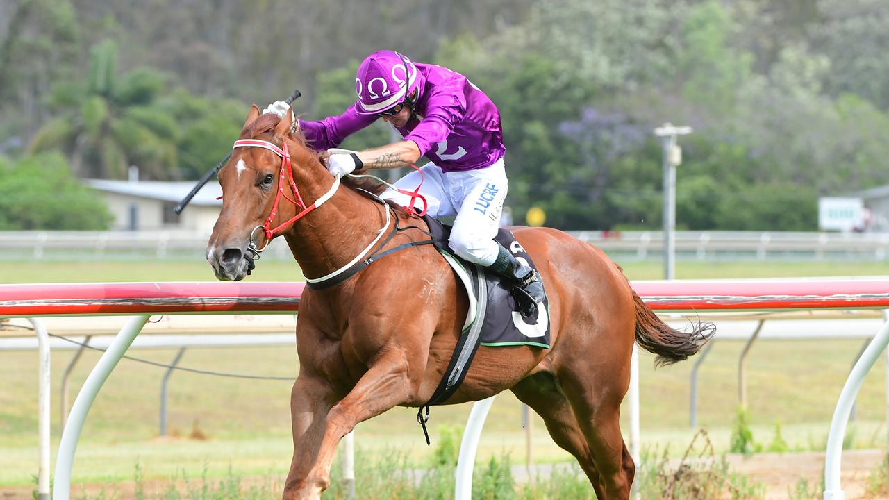 Jockey Michael Schrapel at the Ipswich Turf Club in Ipswich, November 21, 2018. Picture: Trackside Photography