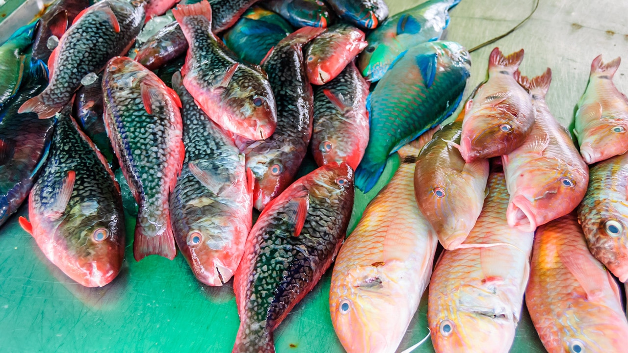 <h2>Best local market</h2><p>Rub shoulders with Thais at Nai Yang's fish market and buy fresh grouper, snapper or mackerels at 6am daily. Ensure you rock up on time. In scenes reminiscent of the old Wall Street, the fishermen's catch of the day sells within minutes.</p>