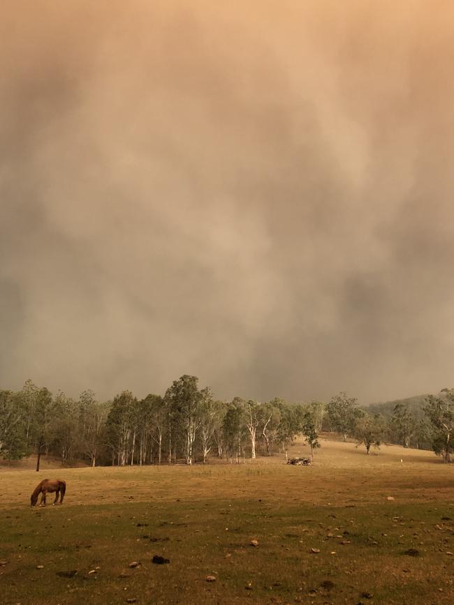 The November fire devastated the small village of Nymboida south of Grafton, leaving scores of people homeless.