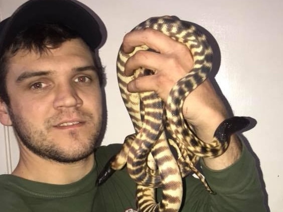 Greystanes man Reece Elson charged over alleged trafficking of exotic animals. Picture: FacebookURL:  https://www.facebook.com/photo/?fbid=10162920266785246&set=ecnf.608165245Date of pic: February 5ID confirmed by NewsLocal via Strike Force Raptor contact