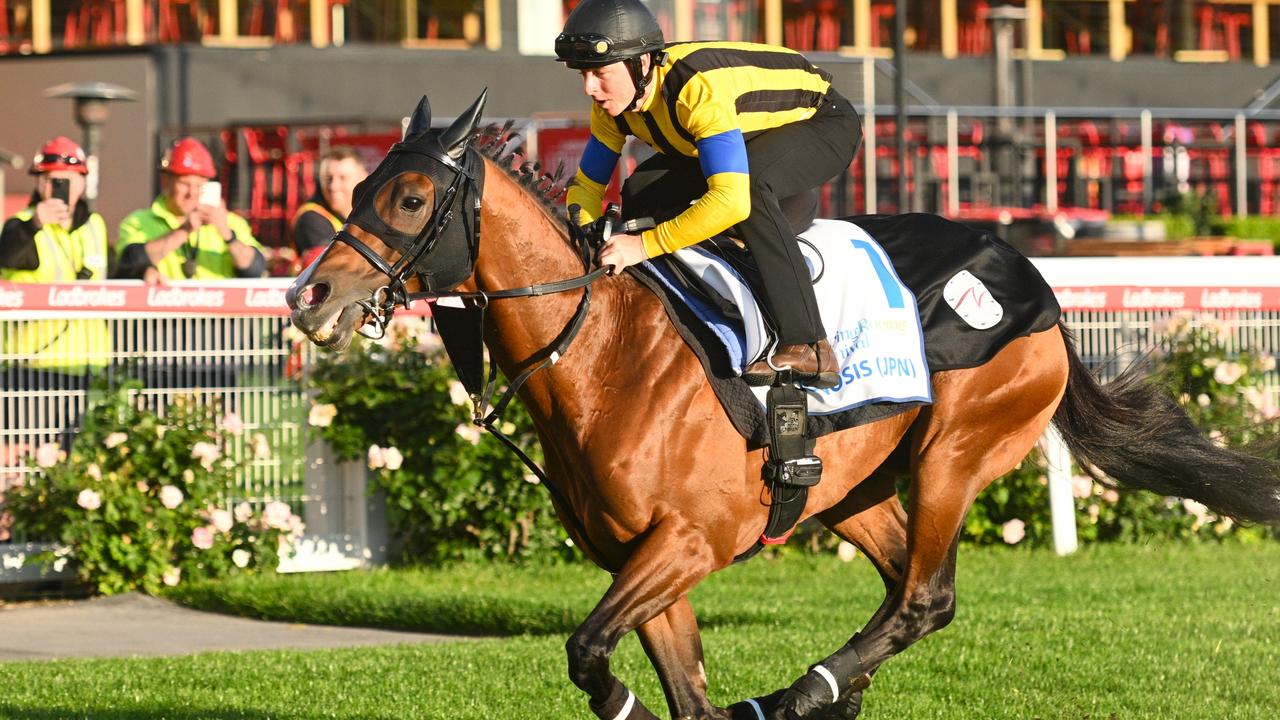 Jockey Damian Lane will combine with Japanese galloper Prognosis in Saturday’s Cox Plate at The Valley. Picture: Getty Images