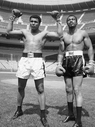 Yankee Stadium Revival Boxing