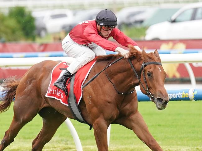 Palm Angel ridden by Ethan Brown wins the Henley Homes Merson Cooper Stakes at Caulfield Racecourse on November 30, 2024 in Caulfield, Australia. (Photo by Scott Barbour/Racing Photos via Getty Images)