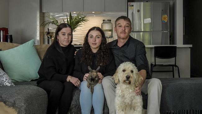 The Green family will be forced to pay $32,000 to ship their labradoodle Masie back to Scotland. Picture: Roy VanDerVegt