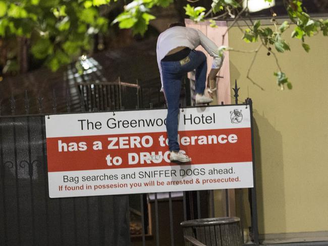 Jumping the fence to the Green Velvet concert last month. Picture: Darren Leigh Roberts