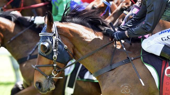 Fresh details have emerged about the contest playing out behind the scenes amongst parties keen to buy parts of the $9.93 billion Australian betting company Tabcorp. Photo: Claudia Baxter / The Queensland Times