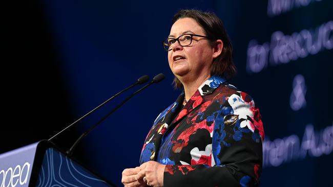 Federal Resources Minister Madeleine King speaking on Tuesday. Picture: Naomi Jellicoe