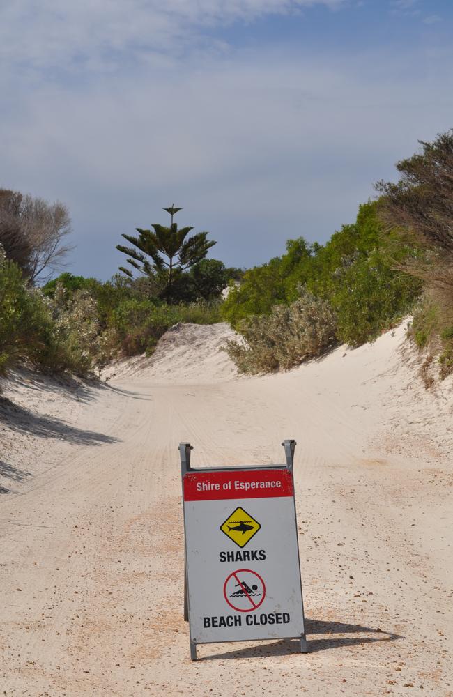 The beach at Wylie Bay is closed after a 23-year-old surfer was attacked this morning.