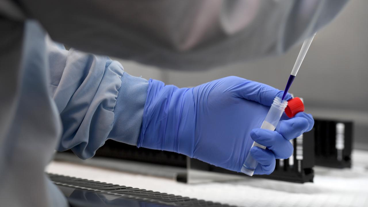 Medical scientists Kristy Robinson with a deactivated specimen of coronavirus preparing the sample for testing in the Virology Lab at SA Pathology Royal Adelaide Hospital. Picture: Tricia Watkinson