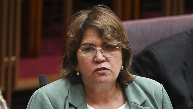 Opposition child protection spokeswoman Kerrynne Liddle has accused state and territory leaders of failing to pull their weight to help close the gap and wasting commonwealth funding meant to improve outcomes for Indigenous Australians. Picture: Martin Ollman / NewsWire