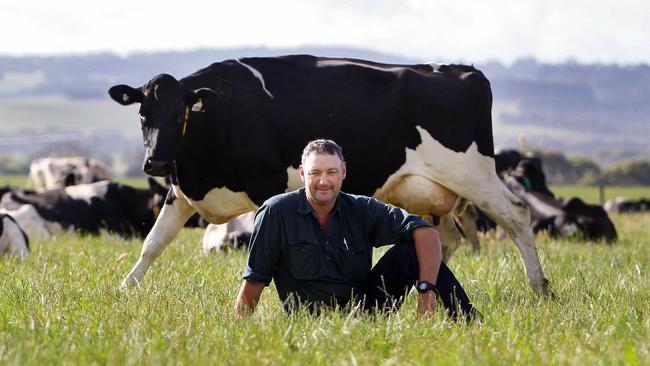 United Dairyfarmers of Victoria president Mark Billing says he cannot do his job representing and advocating on behalf of members after VFF staff cutbacks.