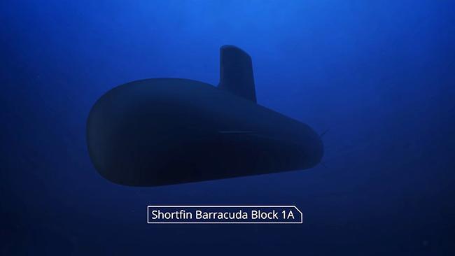 DCNS: Shortfin Barracuda