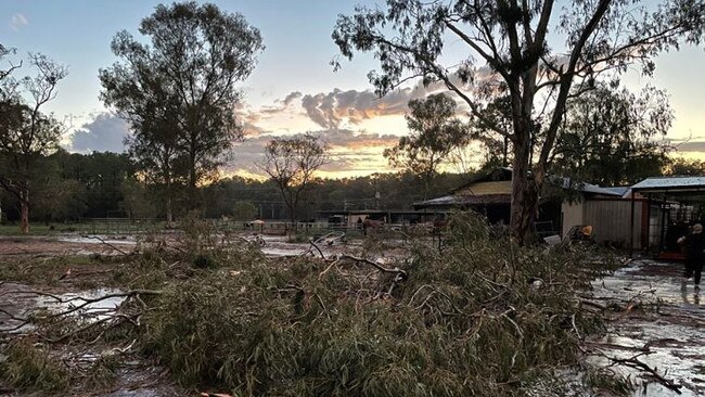 Trees down at Caboolture: Picture: Wanita/Facebook