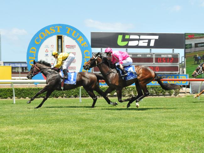 Jockey Michael Hellyer rode the Scott Morrisey-trained Infinite Lee to victory in the Act For Kids Maiden Handicap (900m) at the Gold Coast Turf Club on Saturday, December 24. Picture credit: Jessica Hawkins, Trackside Photography.